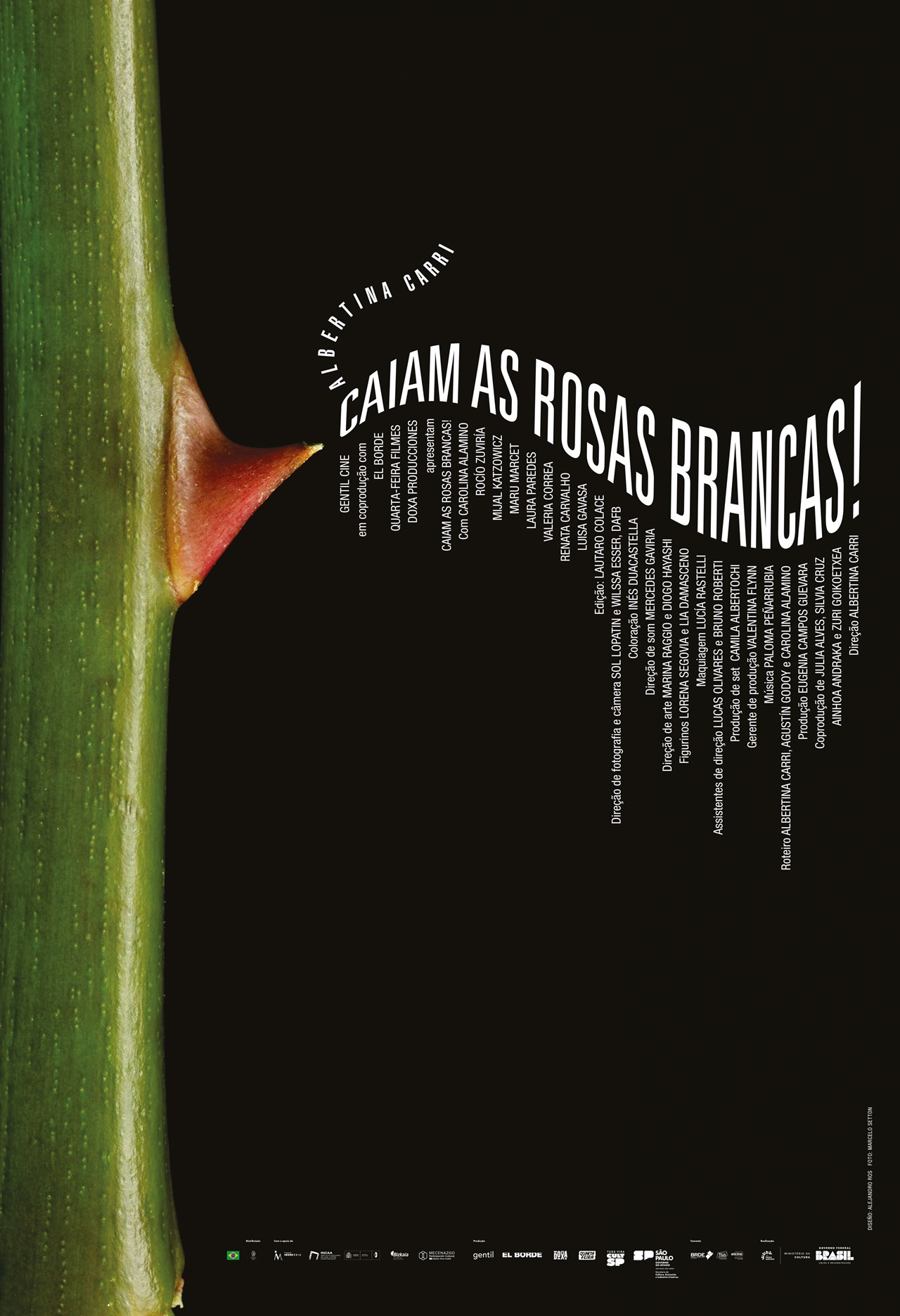 CAIAM AS ROSAS BRANCAS!