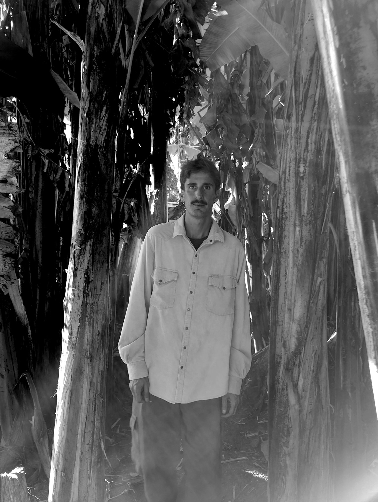 MARCO NALESSO: S.O.M