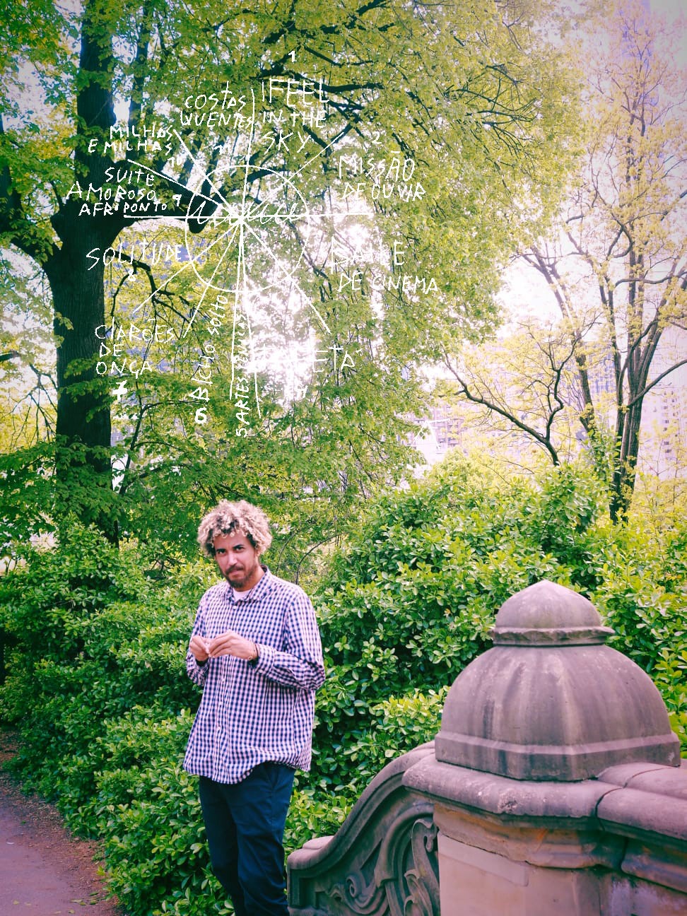 LÊ ALMEIDA: I FEEL IN THE SKY