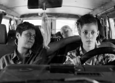 CAIAM AS ROSAS BRANCAS!