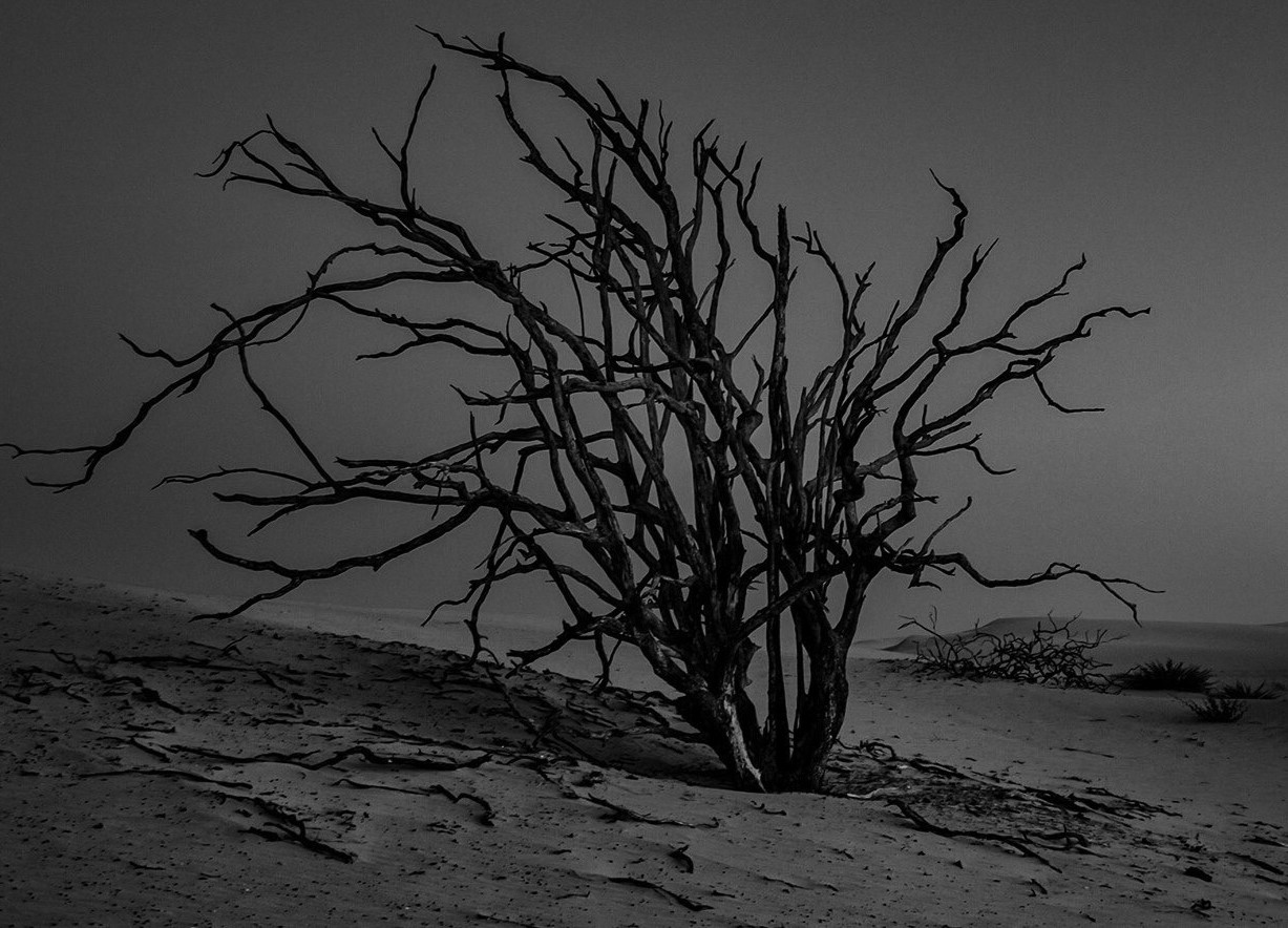 Rudinei Borges dos Santos: Todo Sacrifício Feito em teu Nome